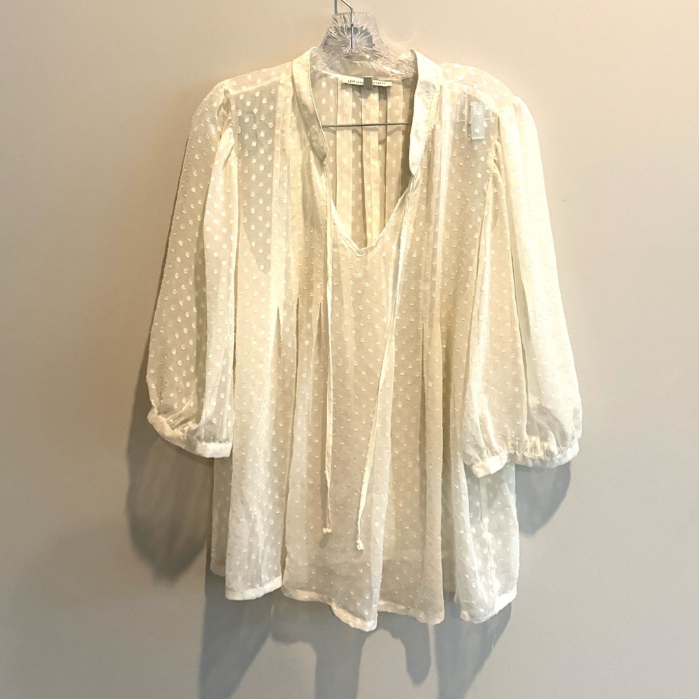 Sheer Blouse w/ 3/4 Length Sleeve